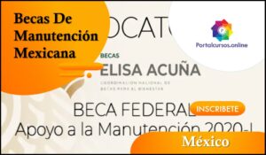 Aprovecha Las Becas De Manutención Mexicana