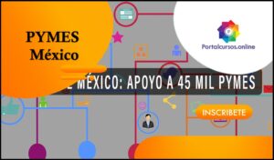 Gobierno Mexicano Otorga 25 Mil Pesos A PYMES